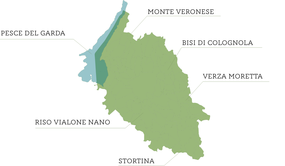 cartina provvisoria veneto